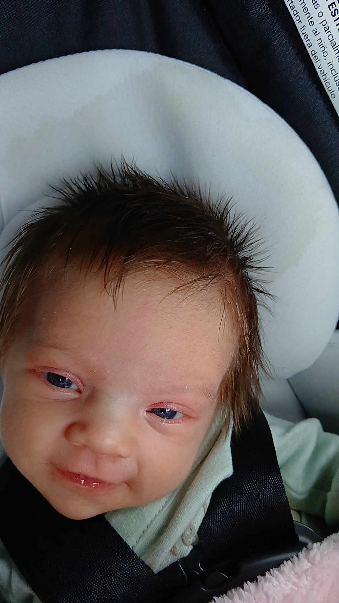 Dixie is registered to the contest to win money with this photo: baby, infant, smile, face, hair, car_seat, seatbelt, clothing, cushion, headrest, person, child, sitting, indoors, closeup, happy, skin, eyes, young, cute