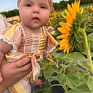 Isabella is registered to the contest to win money with this photo: baby, child, flower, sunflower, head_wrap, outdoor, nature, greenery, plants, person, holding, summer, portrait, cute, young_child, field, sky, daytime, striped_clothing, hand