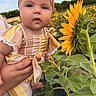 baby, child, flower, sunflower, head_wrap, outdoor, nature, greenery, plants, person, holding, summer, portrait, cute, young_child, field, sky, daytime, striped_clothing, hand