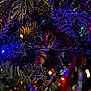 cat, christmas_tree, holiday_lights, pine_needles, curious, pet, animal, festive, colorful, decorations, indoors, closeup, cute, whiskers, feline, playful, dark_background, shiny, sparkle, nature