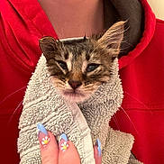 Pepper joined the competition — help win amazing prizes! kitten, cat, towel, hand, nails, nail_art, red_hoodie, person, animal, pet, feline, close_up, indoor, cute, sleepy, wrapped, soft_texture, fingers, holding, portrait