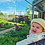 Lola participe au concours pour gagner de l'argent avec cette photo : animal, baby, child, cute, daylight, face, glass, grass, greenery, happy, hat, jacket, nature, outdoor, person, portrait, reflection, smile, sunny, window