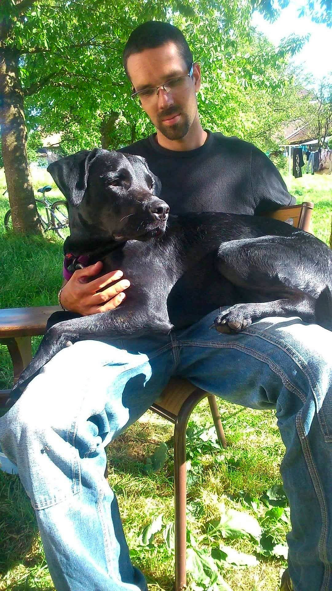 Kiara participe au concours pour gagner de l'argent avec cette photo : canidae, carnivore, companion_dog, dog, dog_breed, fawn, fur, garden, grass, green, leisure, mammal, plant, recreation, sculpture, sitting, sporting_group, t_shirt, tree, working_animal