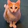 Lily is registered to the contest to win money with this photo: