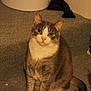 Grace is registered to the contest to win money with this photo: