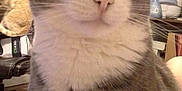 Grace is registered to the contest to win money with this photo:
