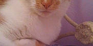 Charlie is registered to the contest to win money with this photo: