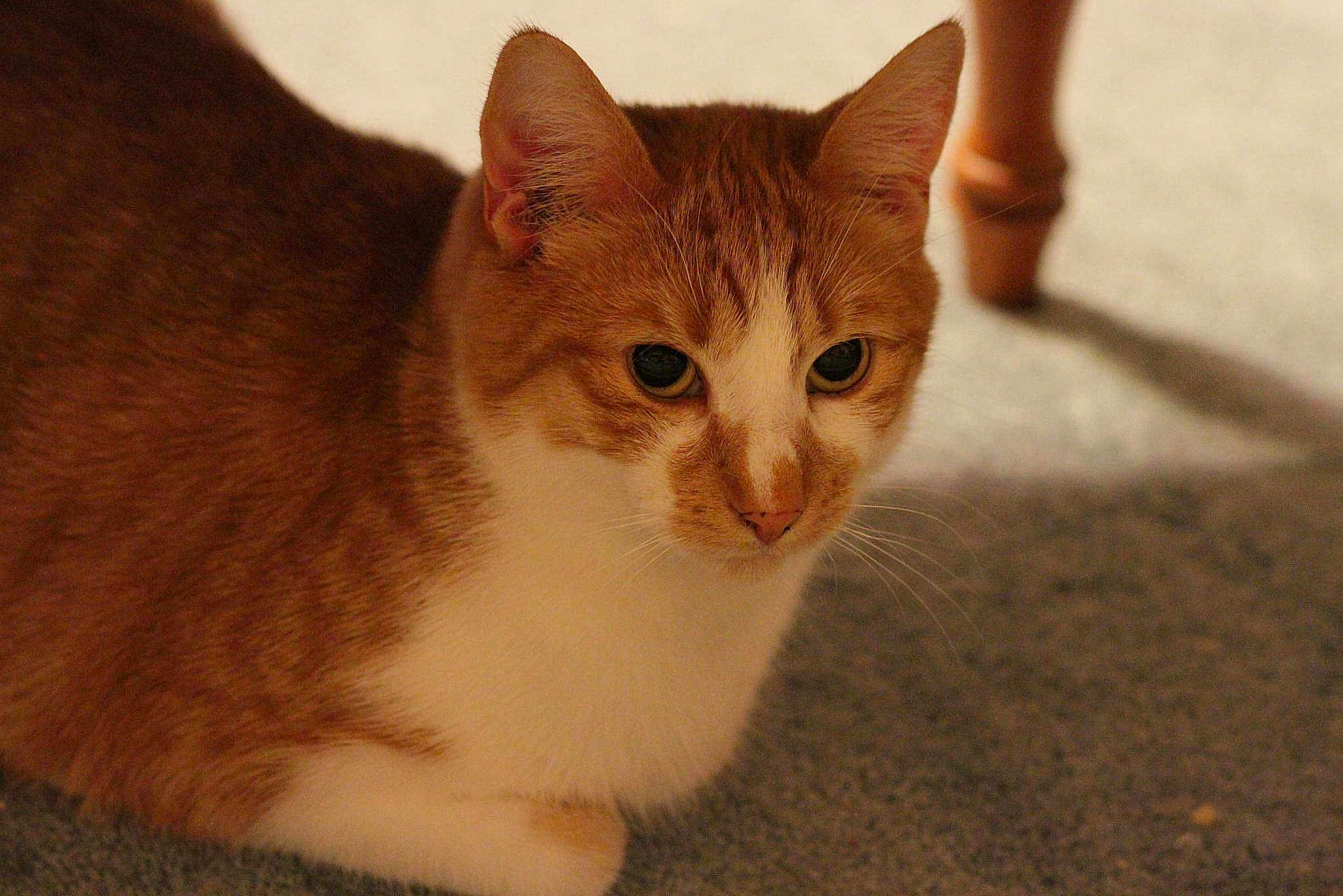 Charlie