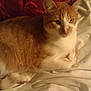 Charlie is registered to the contest to win money with this photo: