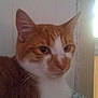 Charlie is registered to the contest to win money with this photo: