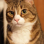 Mel is registered to the contest to win money with this photo: