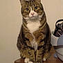 Mel is registered to the contest to win money with this photo: