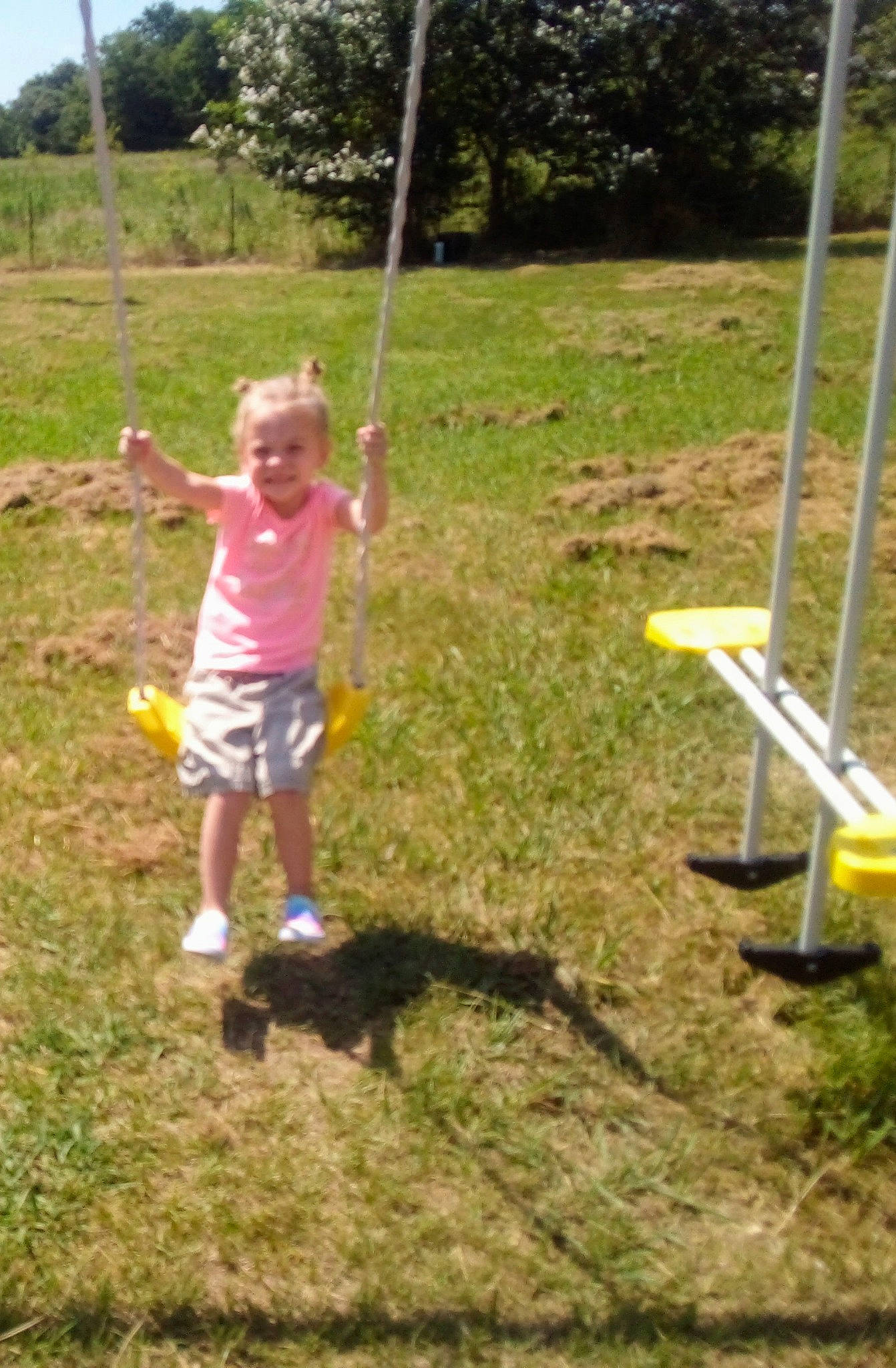 Mindy is registered to the contest to win money with this photo: backyard, fun, grass, outdoor_play_equipment, person, play, playground, swing