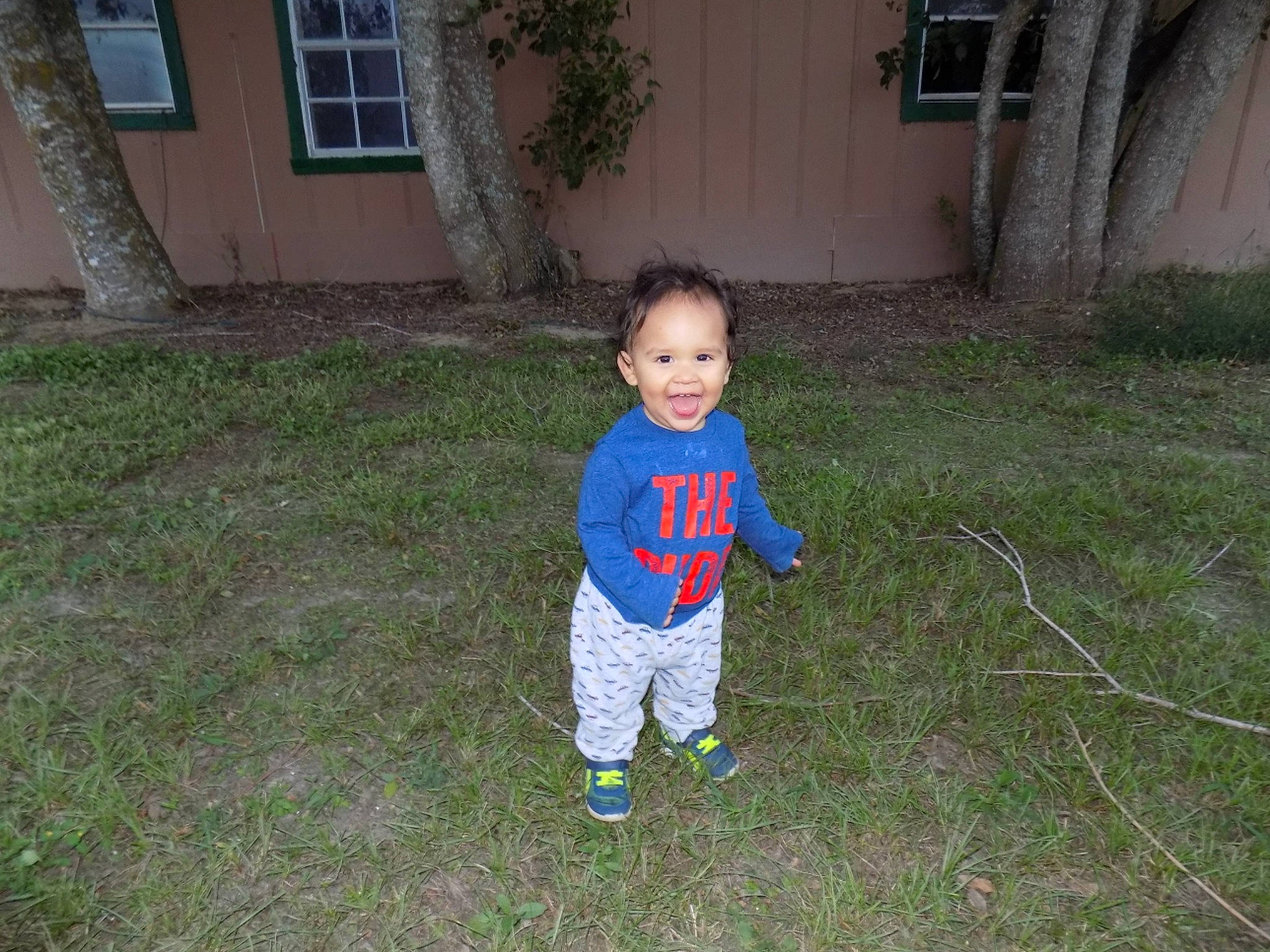 Jenson joined the competition — help win amazing prizes! backyard, child, garden, grass, lawn, leaf, person, plant, play, toddler, yard