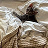 cat, kitten, gray_cat, bed, bedding, white_sheets, blanket, bedroom, cozy, sleeping, lounging, lying_down, portrait, pet, animal, whiskers, ears, eyes, indoor, textile