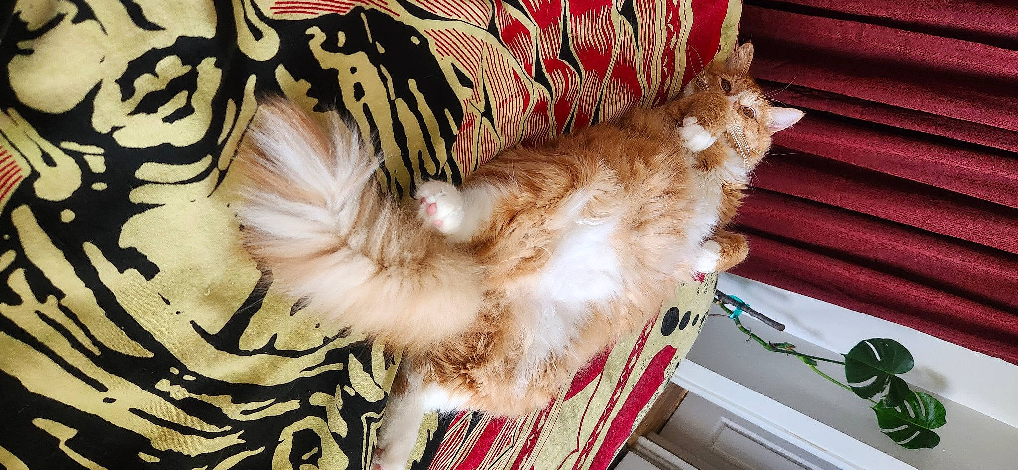 Leo Orenstein joined the competition — help win amazing prizes! art, carnivore, cat, claw, comfort, companion_dog, fashion_accessory, fawn, felidae, fur, natural_material, pattern, paw, small_to_medium_sized_cats, tail, whiskers, wood