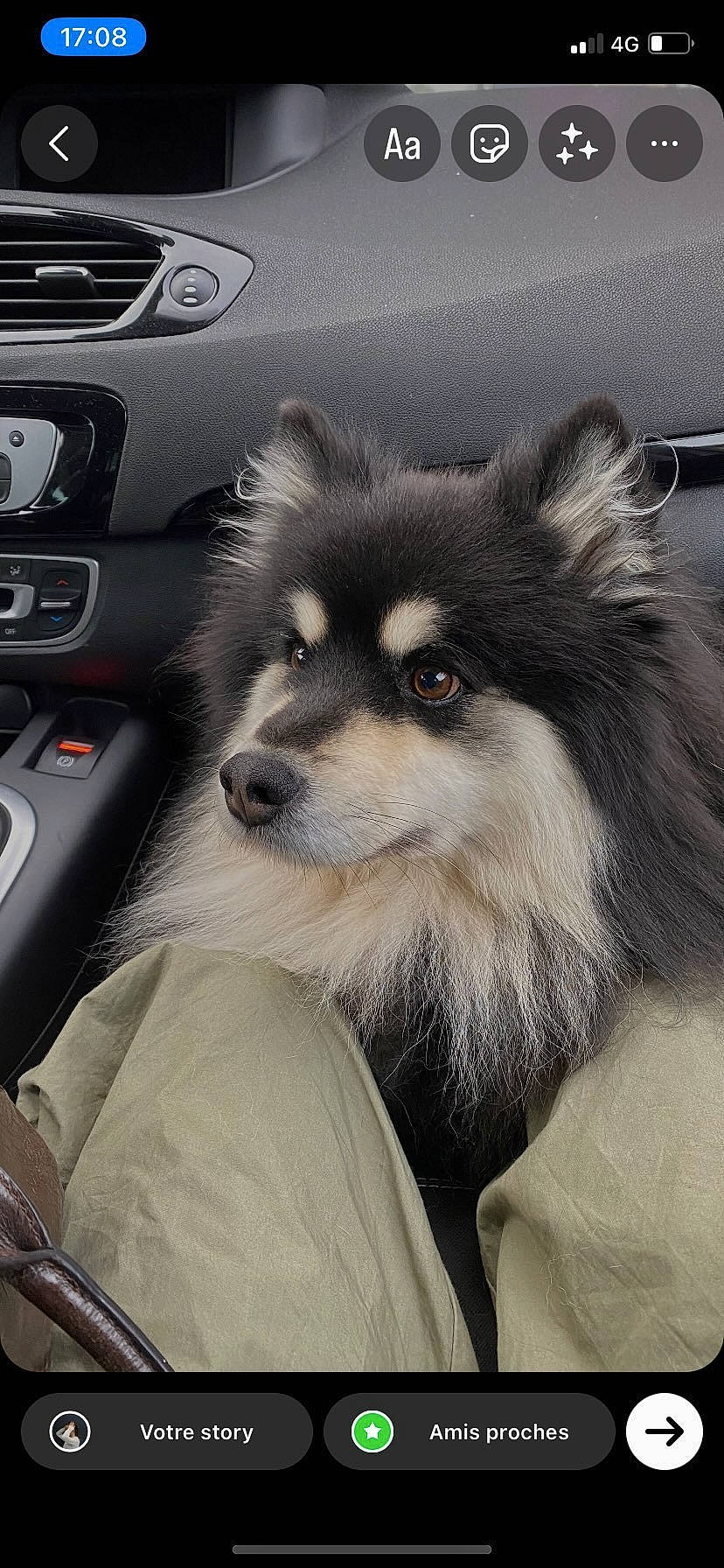 Junka participe au concours pour gagner de l'argent avec cette photo : auto_part, automotive_design, automotive_exterior, car, carnivore, companion_dog, dog, dog_breed, family_car, fur, motor_vehicle, personal_luxury_car, radio, snout, spitz, steering_wheel, vehicle, vehicle_door, windshield, working_animal