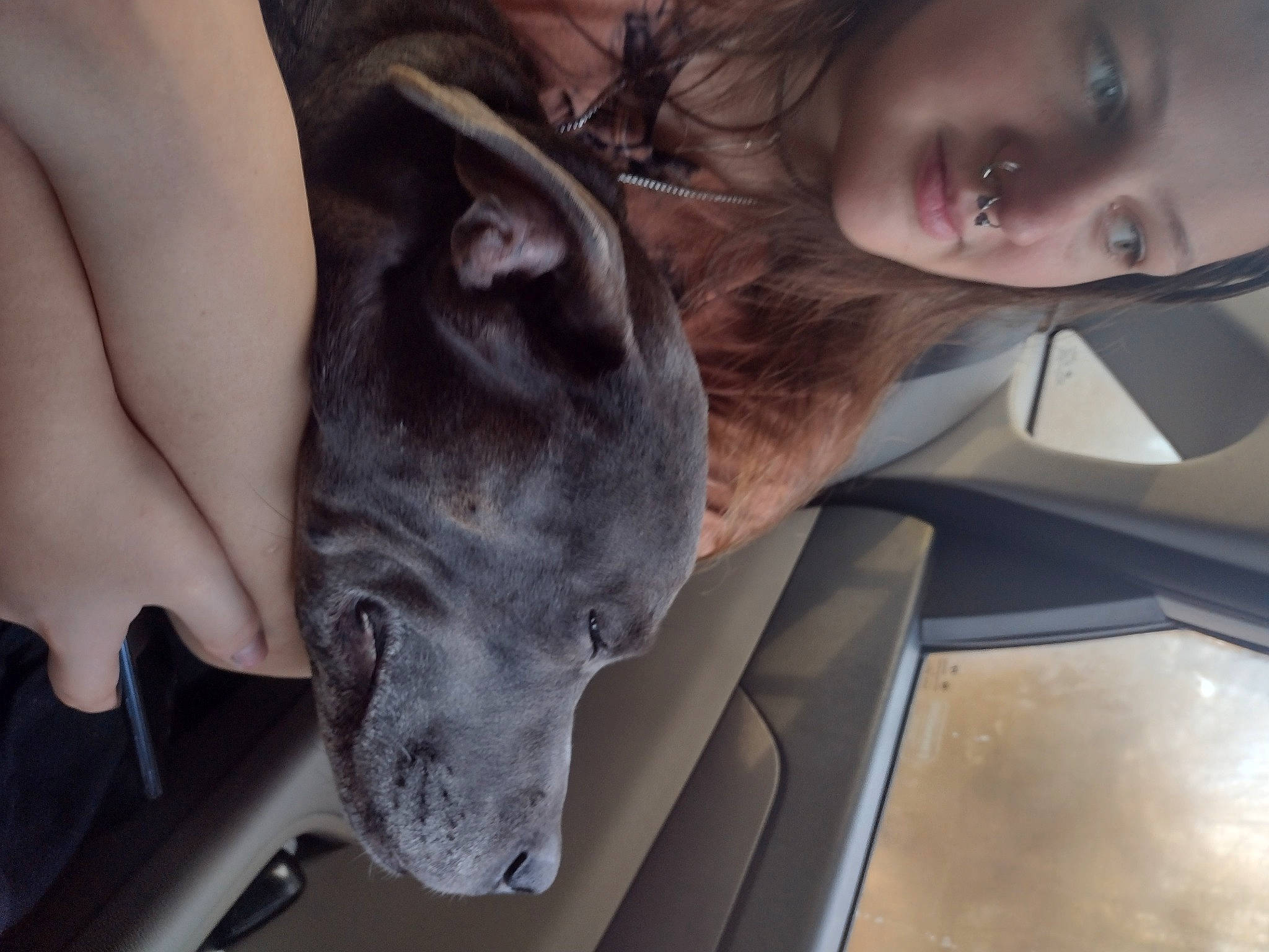 Mojo is registered to the contest to win money with this photo: carnivore, companion_dog, dog, dog_breed, eye, eyelash, fawn, felidae, fur, gesture, grey, hand, human_leg, jaw, leg, plant, thigh, tree, whiskers, working_animal