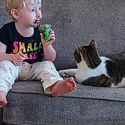 Vanessa is registered to the contest to win money with this photo: toddler, child, cupcake, chocolate, face_paint, couch, cat, pet, barefoot, clothing, pants, short_sleeve_shirt, indoor, messy, food, sitting, looking_away, animal, companion, cute