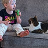 toddler, child, cupcake, chocolate, face_paint, couch, cat, pet, barefoot, clothing, pants, short_sleeve_shirt, indoor, messy, food, sitting, looking_away, animal, companion, cute