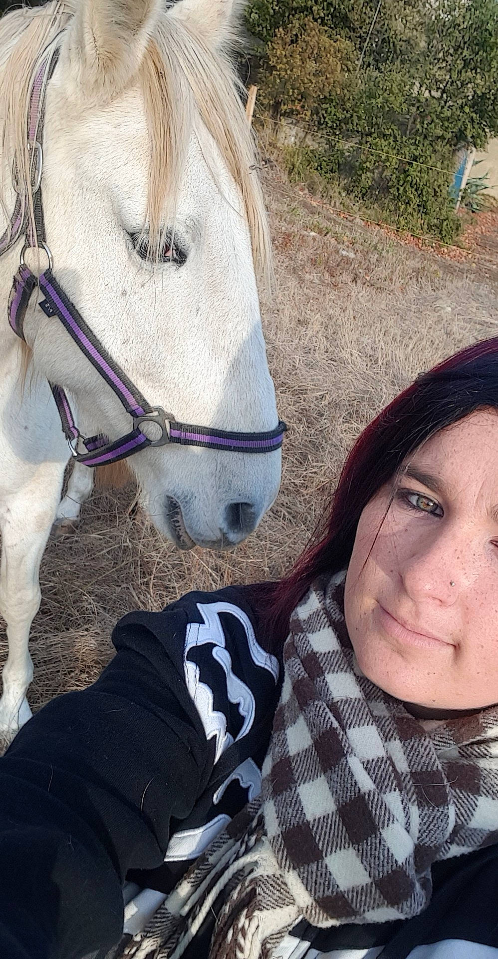 Ziggy participe au concours pour gagner de l'argent avec cette photo : black_hair, bridle, cool, eye, fun, glasses, grass, hair, horse, horse_tack, lip, livestock, photography, selfie