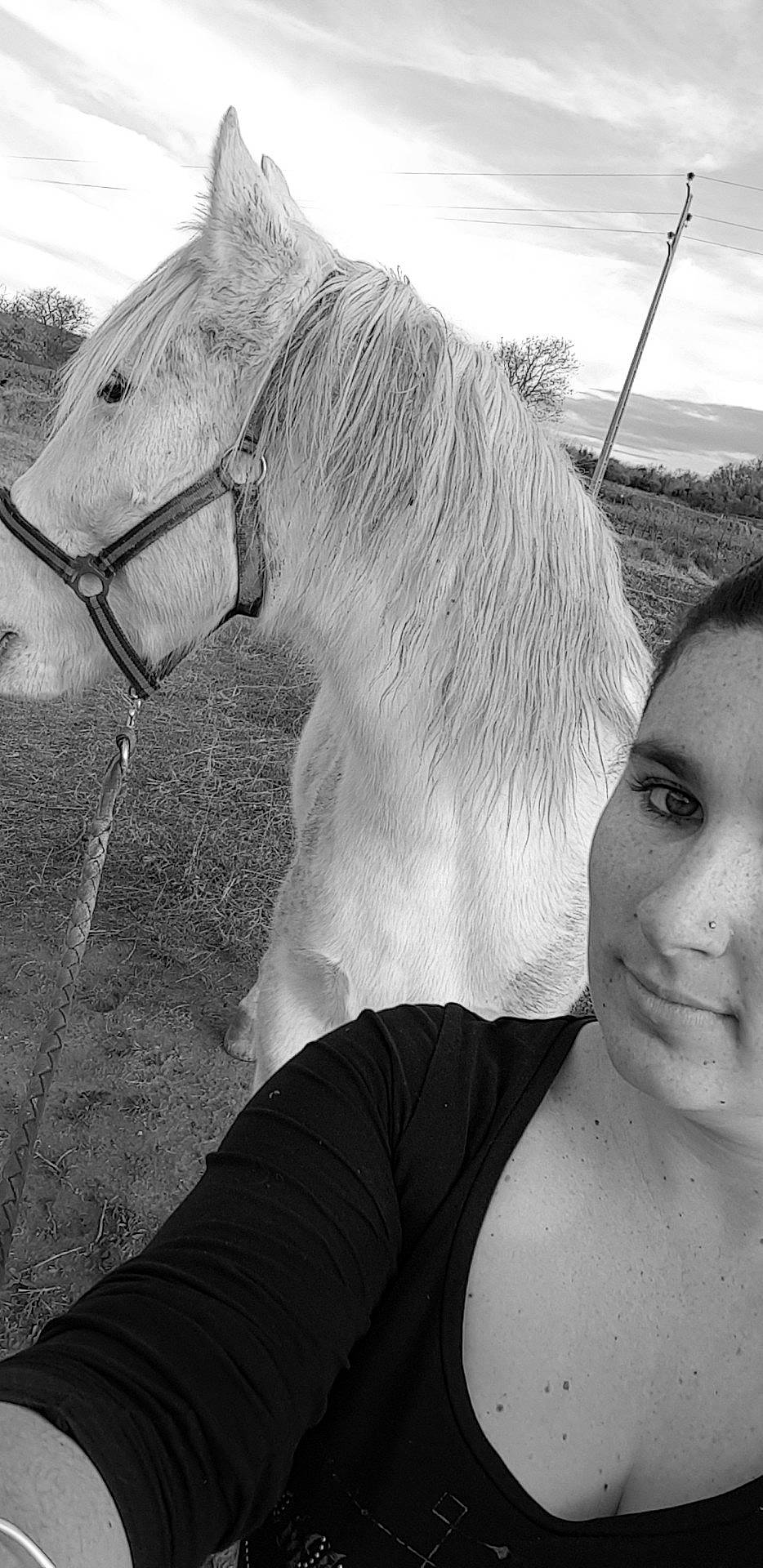 Ziggy participe au concours pour gagner de l'argent avec cette photo : beauty, black, black_and_white, blond, eye, hair, hairstyle, head, horse, horse_grooming, horse_supplies, mane, mare, monochrome, monochrome_photography, neck, nose, photography, snout, white