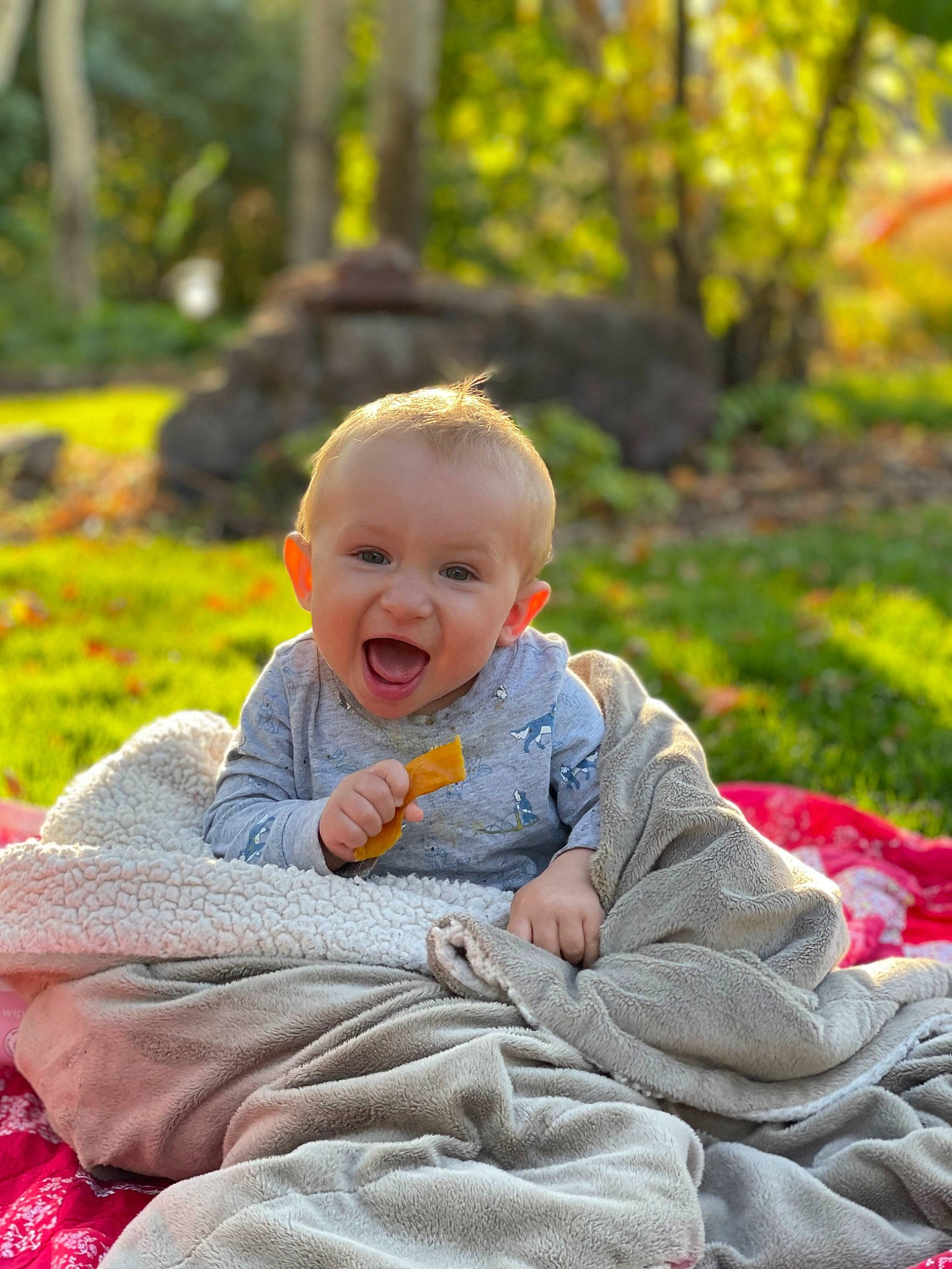 Omari is registered to the contest to win money with this photo: autumn, baby, baby_toddler_clothing, child, deciduous, eye, fun, garden, grass, happy, laugh, leisure, people_in_nature, person, plant, portrait_photography, sitting, smile, toddler, tree