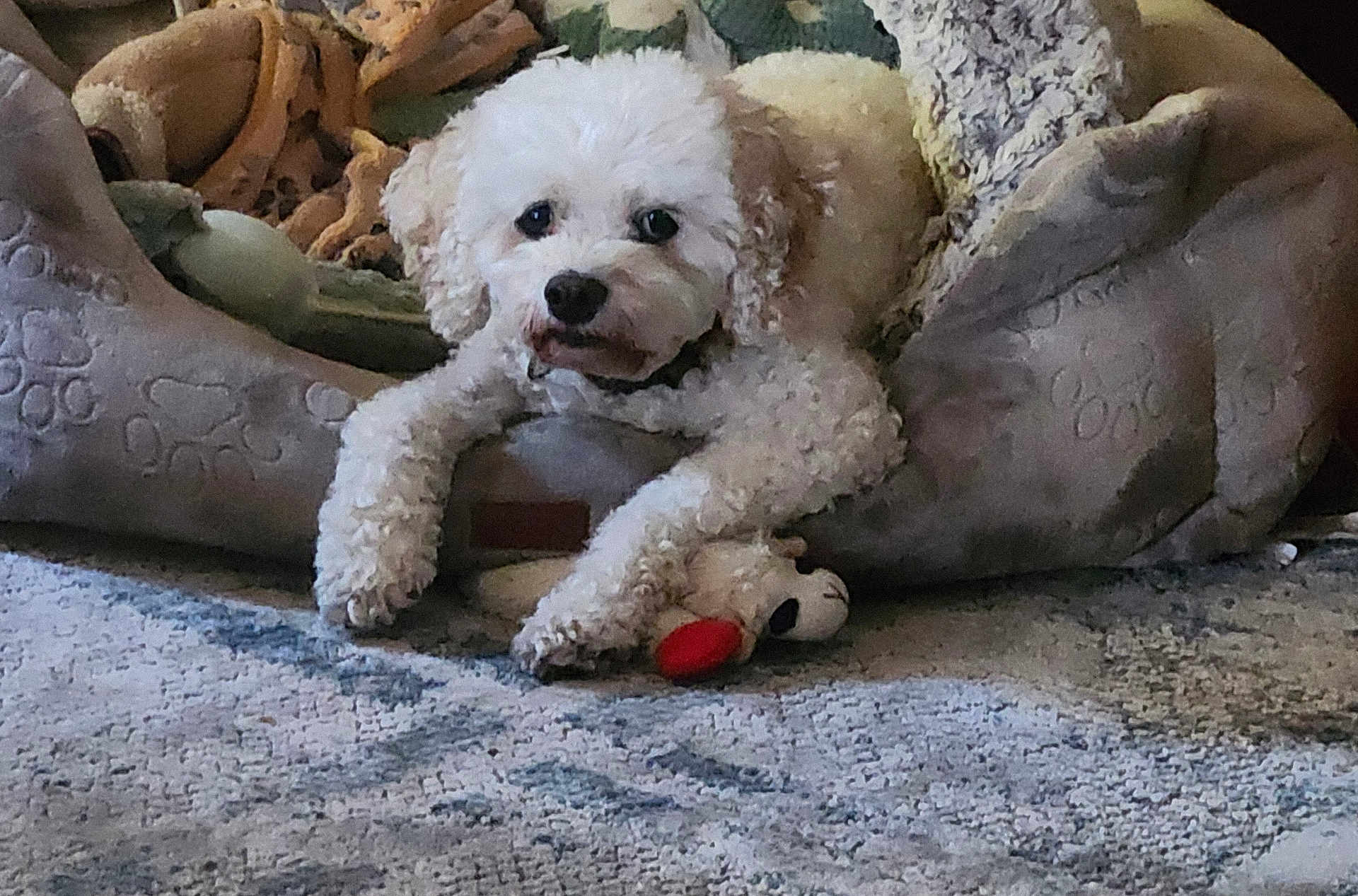 Malachi