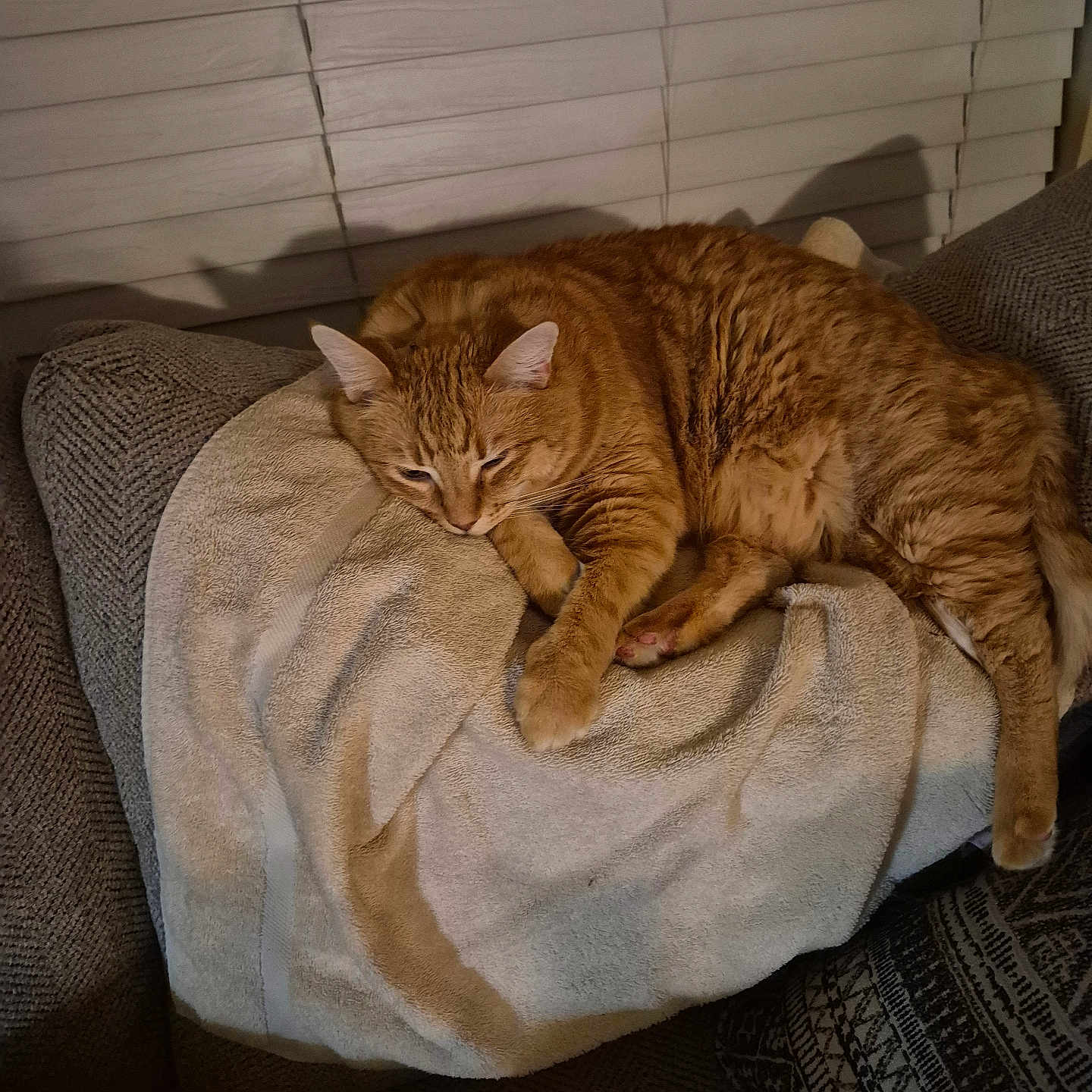 Bigboy