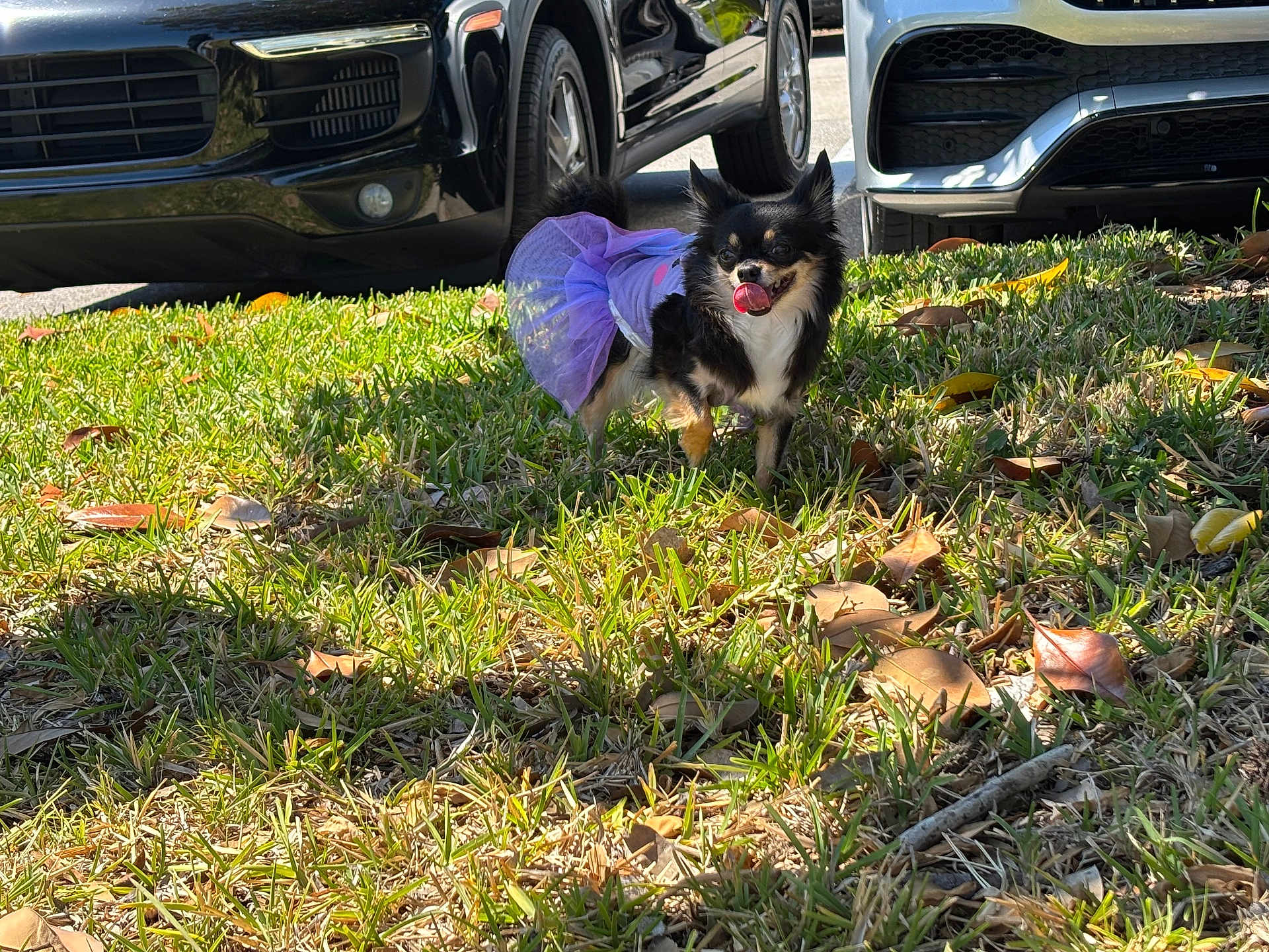 Minnie
