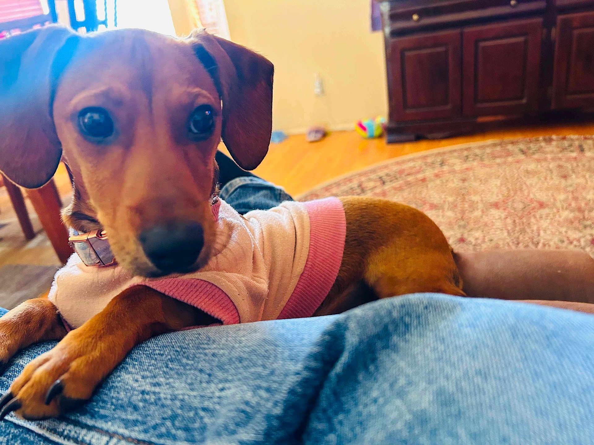 Peanut