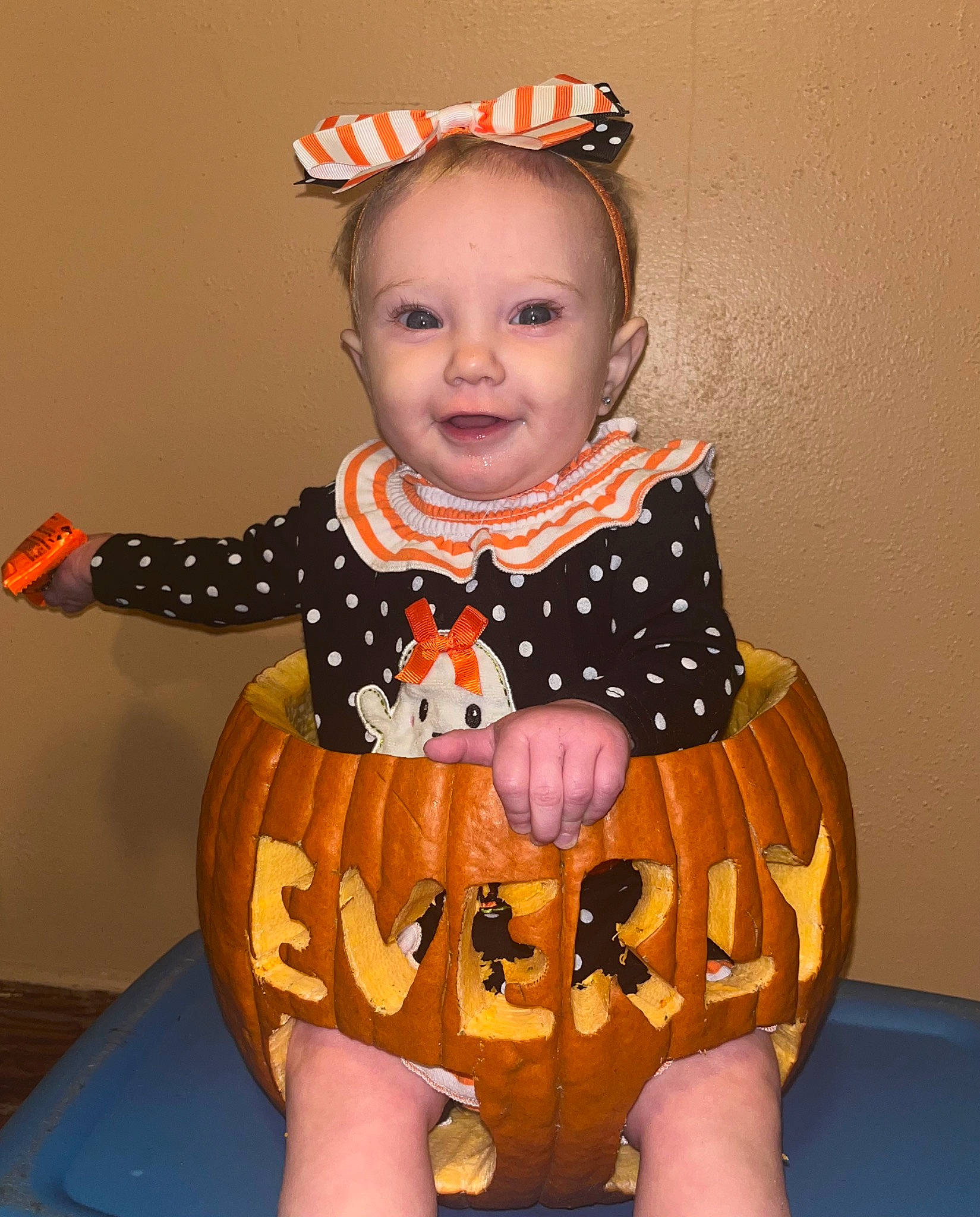 Everly is registered to the contest to win money with this photo: arm, baby, baby_toddler_clothing, bag, calabaza, cheek, dress, eye, face, head, human_body, neck, orange, outerwear, person, plant, pumpkin, shorts, sleeve, toddler