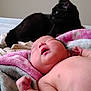 Nahanni is registered to the contest to win money with this photo: baby, newborn, sleeping, cat, black_cat, blanket, soft, cozy, indoor, pet, animal, child, rest, peaceful, fur, cute, portrait, relaxing, mammal, comfort