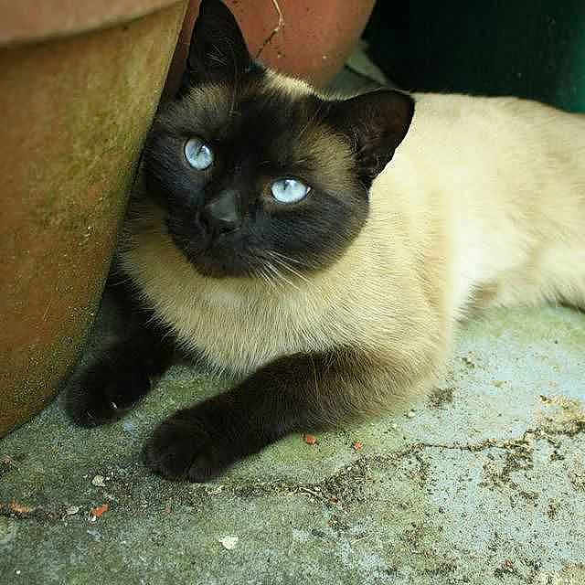 Oliver joined the competition — help win amazing prizes!