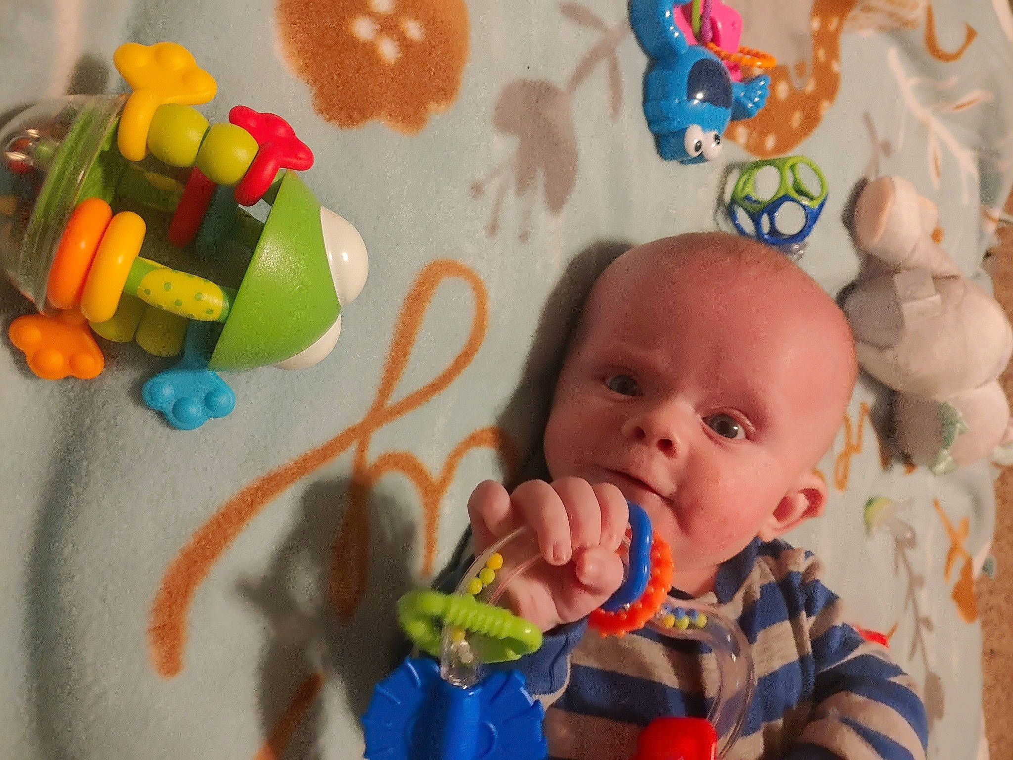 Jaxson is registered to the contest to win money with this photo: baby, baby_playing_with_toys, baby_products, baby_toys, child, finger, fun, person, play, product, smile, sweetness, toddler, toy