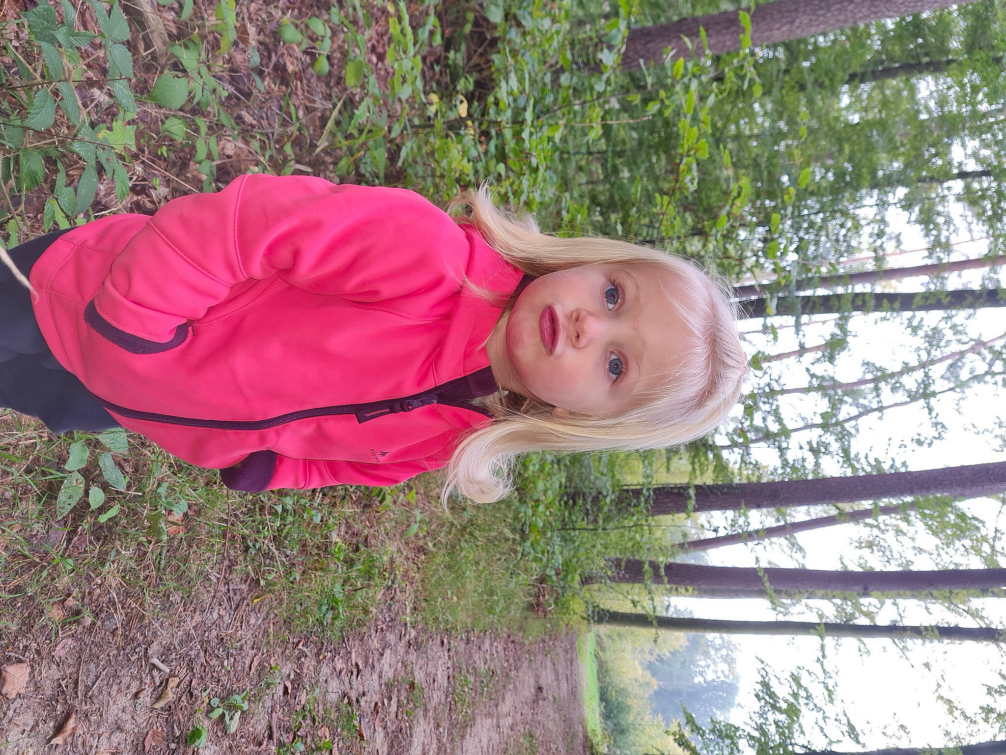 Lisa participe au concours pour gagner de l'argent avec cette photo : child, fun, grass, leisure, magenta, people_in_nature, person, plant, sleeve, toddler, tree, trunk, wood
