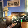 baby, blanket, car_seat, carpet, child, couch, cozy, curious, floor, furniture, home, indoor, lamp, living_room, pattern, person, plaid, sunlight, table, toy