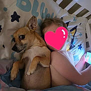 Lady joined the competition — help win amazing prizes! dog, child, bed, blanket, crib, pillow, indoor, snuggling, resting, cute, cozy, sleeping_area, furniture, animal, young, comfort, home, pet, star_pattern, heart_sticker