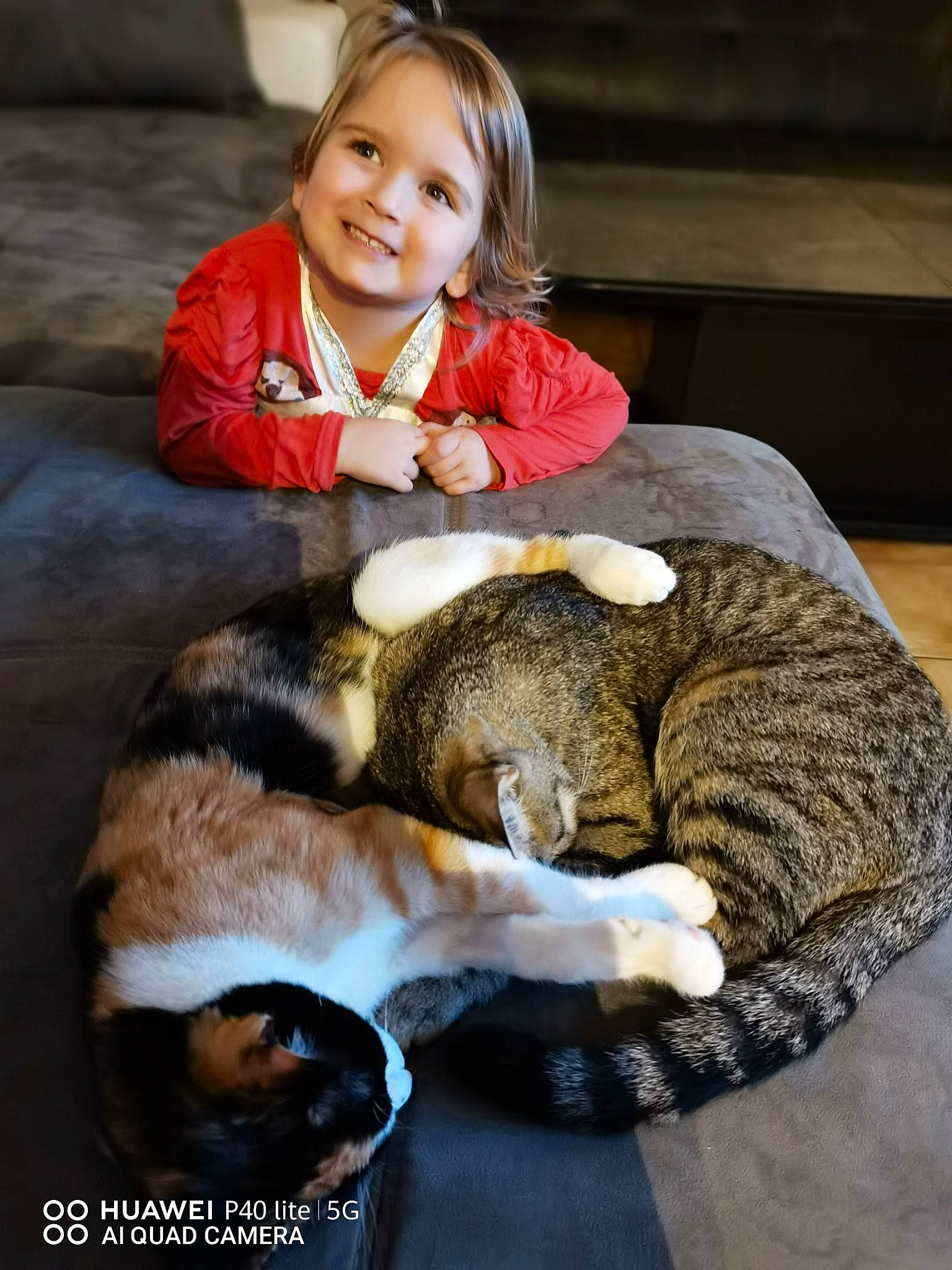 Raclette Et Tartiflette participe au concours pour gagner de l'argent avec cette photo : carnivore, child, comfort, companion_dog, dog_breed, eye, fawn, felidae, flooring, fur_clothing, happy, lap, small_to_medium_sized_cats, smile, snout, stuffed_toy, toddler, toy, whiskers, wood
