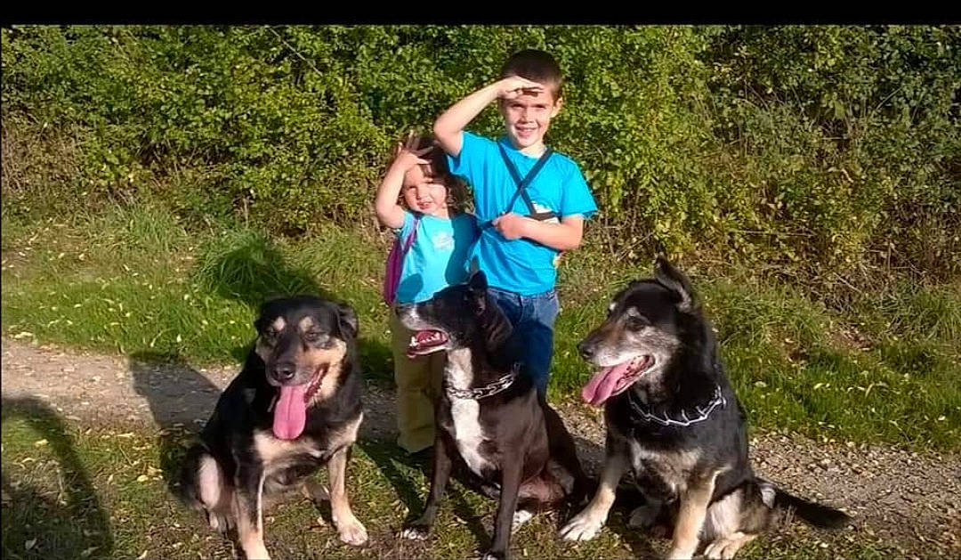 Cyrco Abyss Canelle a rejoint le concours — aidez-le/la à gagner de superbes lots ! adventure, animal_sports, canidae, carnivore, companion_dog, dog, dog_breed, dog_hiking, dog_walking, fun, grass, happy, leash, leisure, plant, recreation, shorts, smile, t_shirt, walking