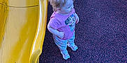 Rosie is registered to the contest to win money with this photo: toddler, child, playground, slide, yellow_slide, pink_shirt, patterned_pants, curly_hair, sneakers, outdoor, play_area, rubber_surface, blue_pole, green_slide, standing, looking_sideways, daylight, casual_clothing, young_child, fun