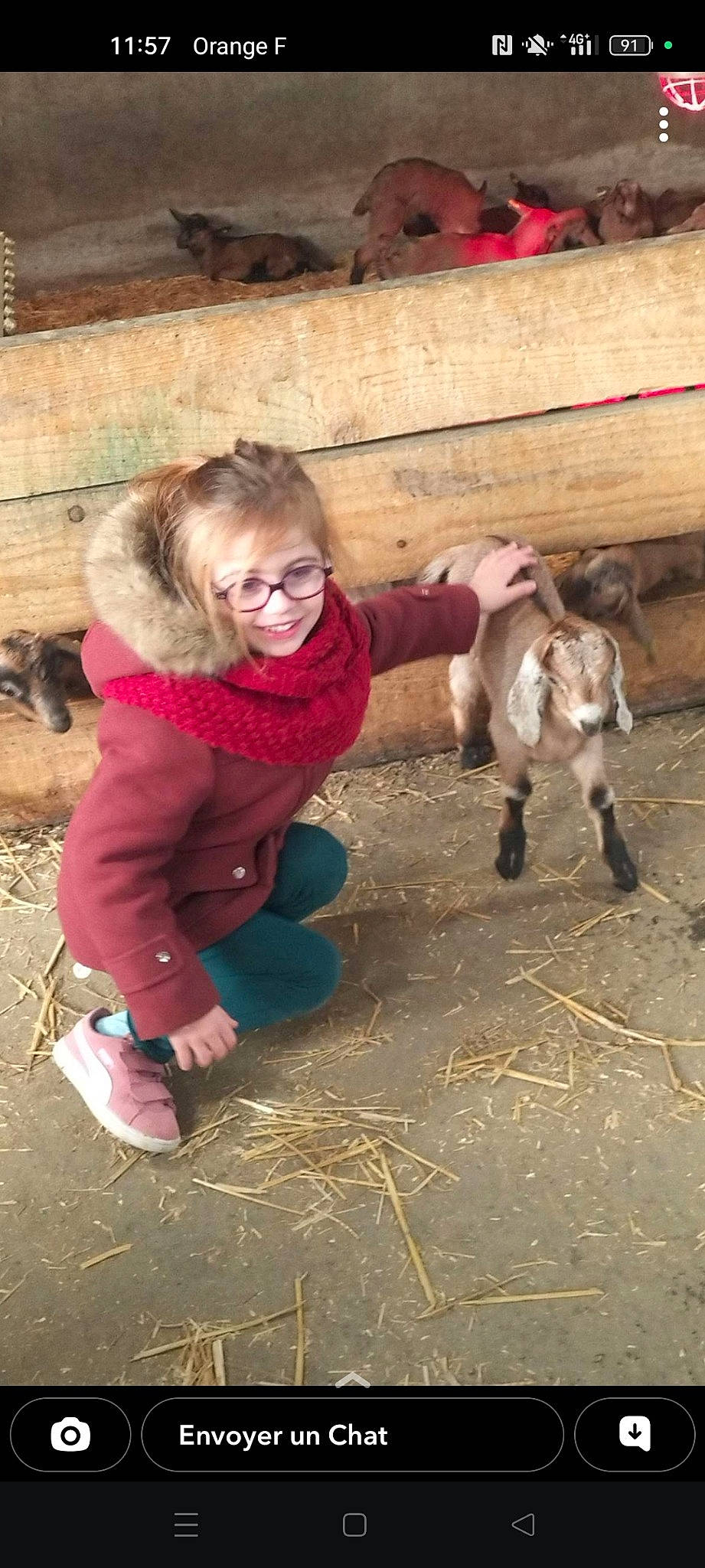 Cléo participe au concours pour gagner de l'argent avec cette photo : boot, bovine, dairy_cow, fawn, fun, fur, goat, goats, grass, joy, landscape, leisure, livestock, person, recreation, sitting, soil, sunglasses, wood, working_animal