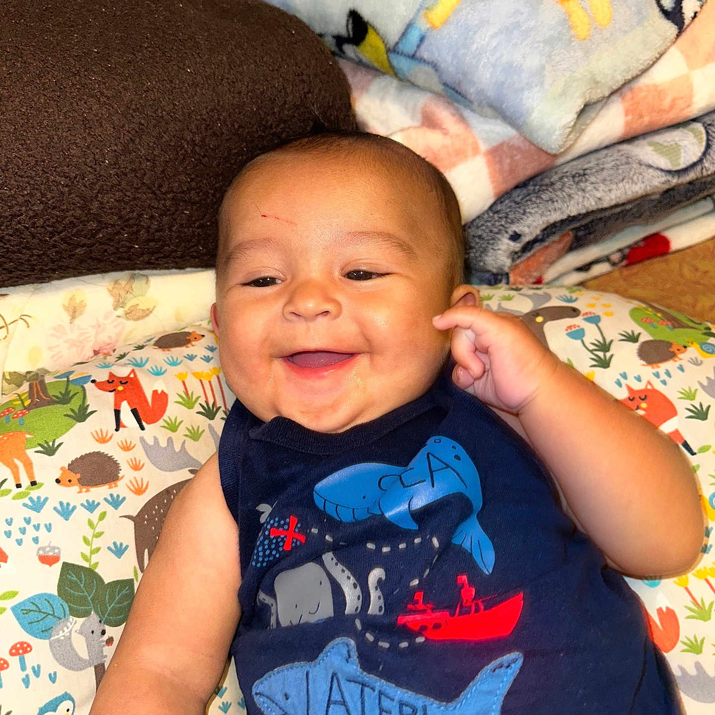 Braxton joined the competition — help win amazing prizes! animal_pattern, baby, blanket, blue_clothing, cheek, child, cute, face, hand, happy, indoors, infant, pillow, playful, red_boat, shark, skin, smiling, tank_top, whale