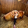 animal, barn, boots, child, countryside, embrace, farm, girl, hay, horse, long_hair, nature, pet, pony, rural, smiling, stable, sunlight, unicorn, wooden_wall