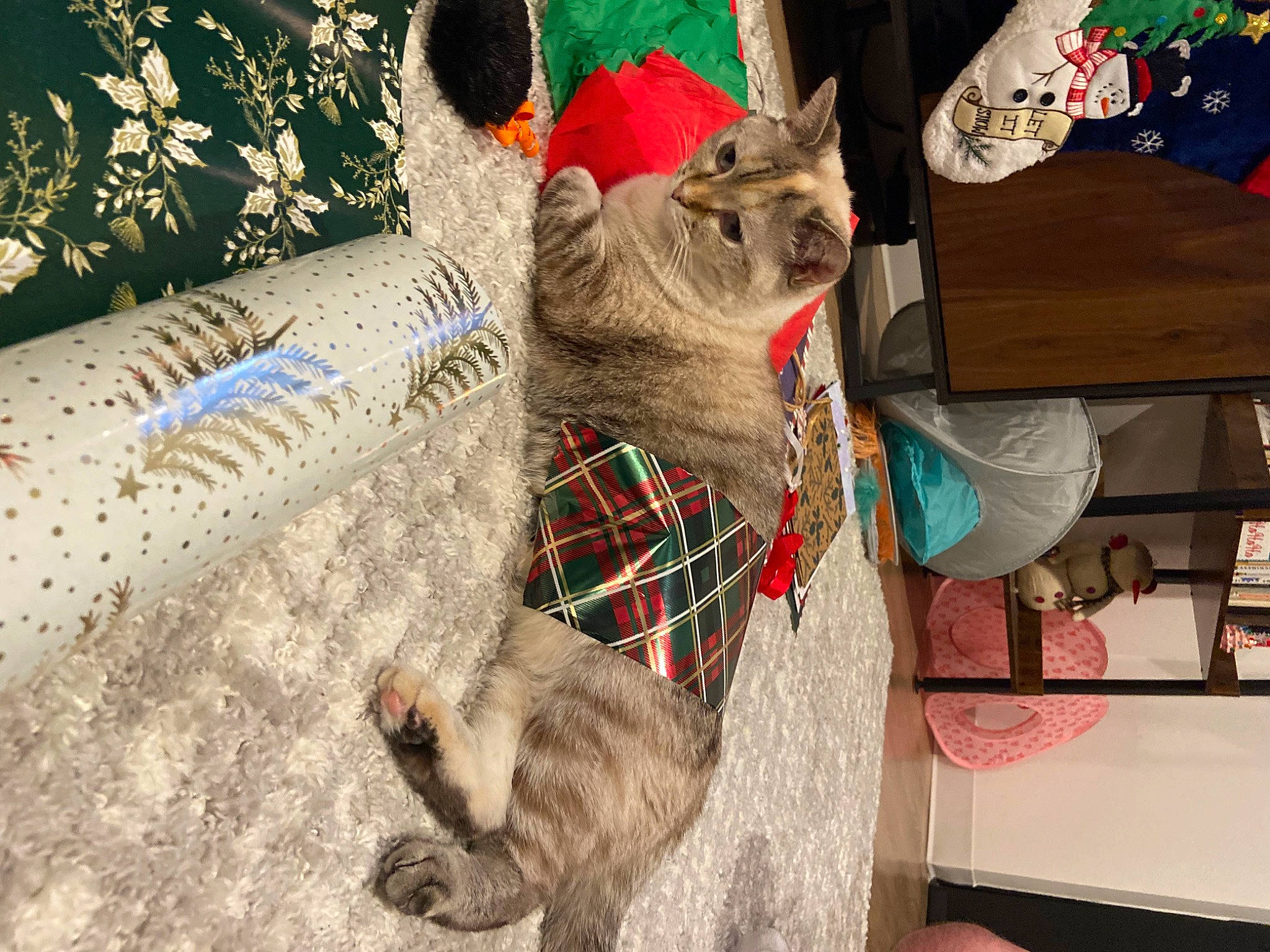 Bunny joined the competition — help win amazing prizes! art, carnivore, cat, domestic_short_haired_cat, fawn, felidae, fur, hat, linens, pattern, puzzle, small_to_medium_sized_cats, snout, tail, terrestrial_animal, textile, thread, visual_arts, whiskers, wildlife