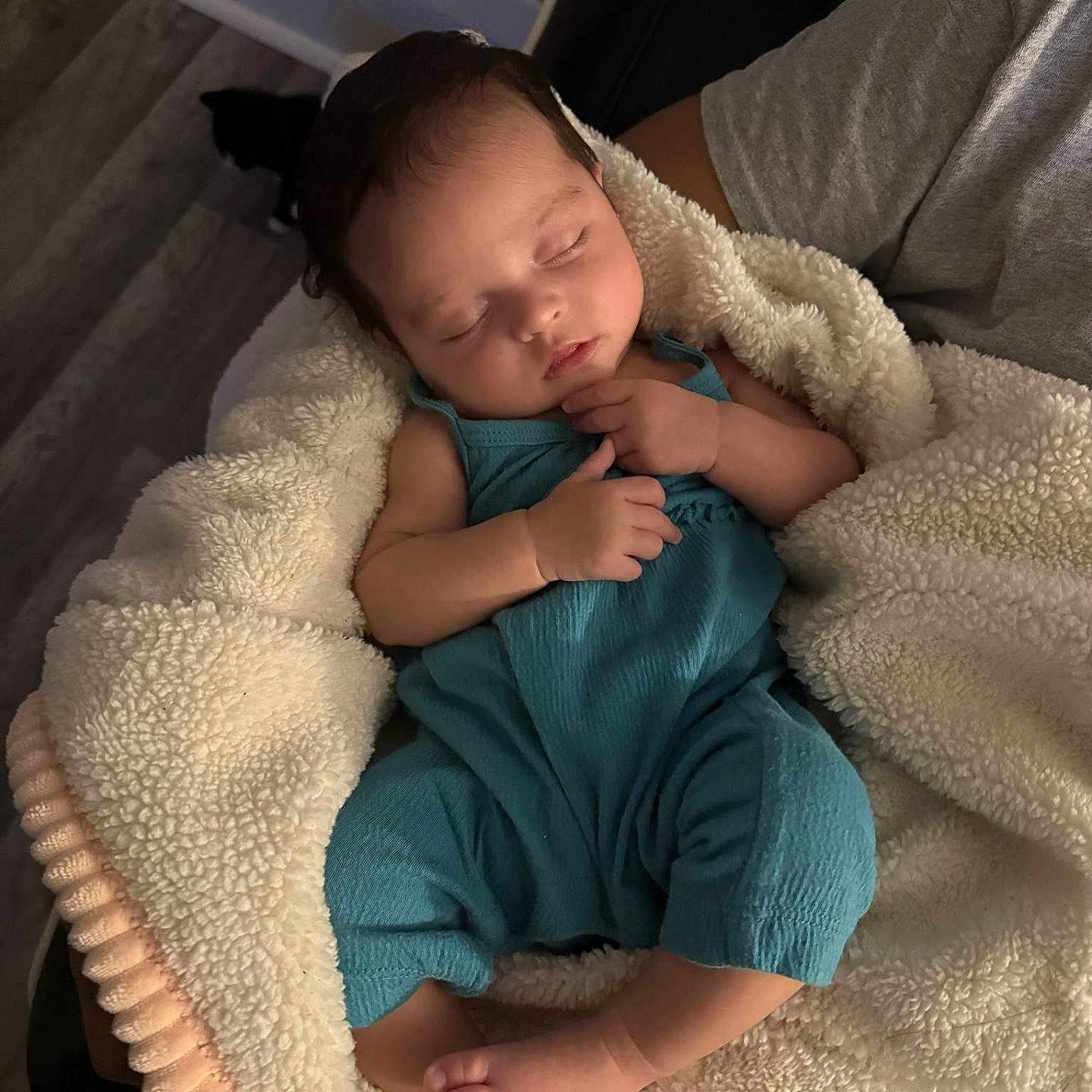 Kalea joined the competition — help win amazing prizes! animal, baby, bed, bedroom, blanket, cat, cushion, face, furniture, head, homedecor, indoors, newborn, person, pet, photography, portrait, quilt, room, sleeping