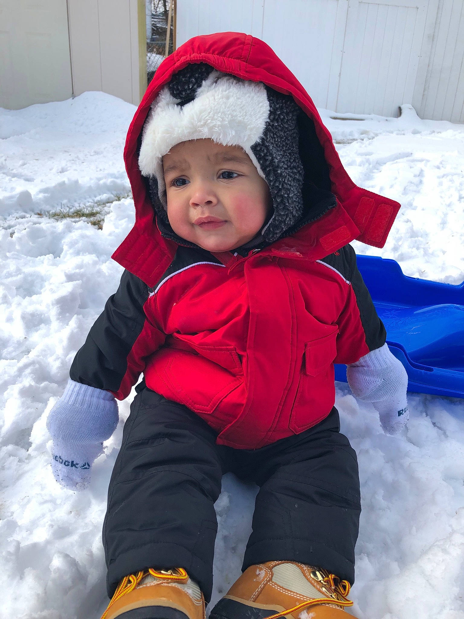Jayson is registered to the contest to win money with this photo: baby, cheek, child, freezing, fun, head, headwear, hood, hoodie, outerwear, person, play, playing_in_the_snow, red, skin, smile, snow, toddler, vacation, white