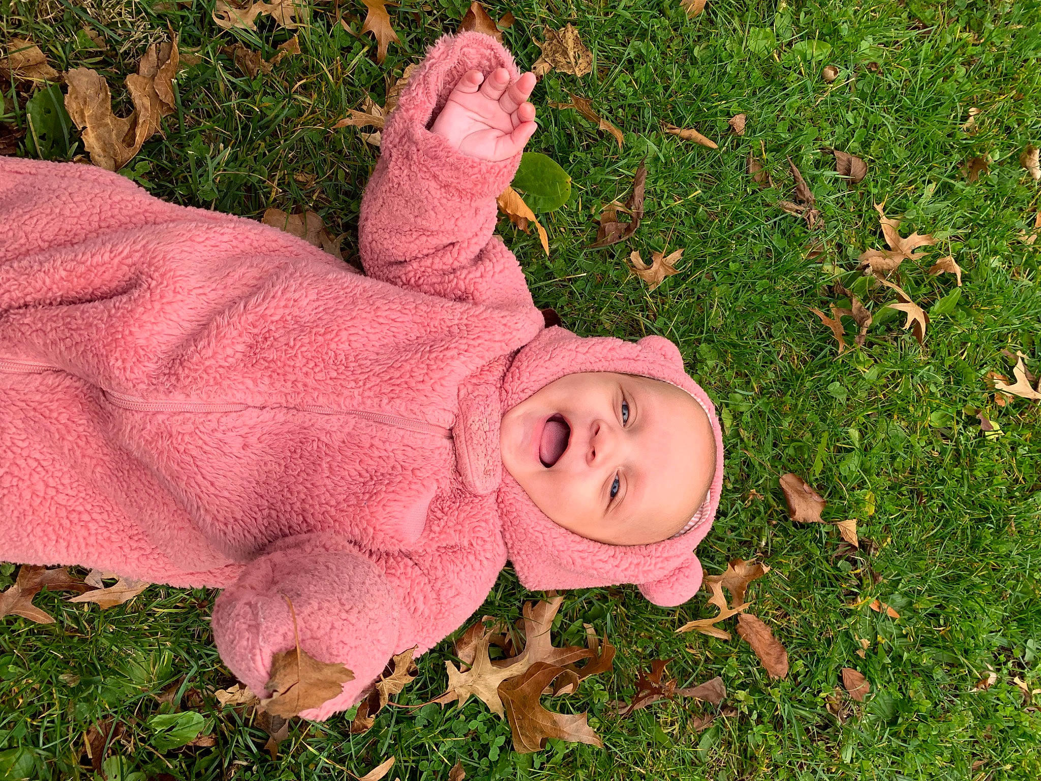 Koa is registered to the contest to win money with this photo: art, baby_toddler_clothing, child, fun, grass, grass_family, groundcover, happy, headwear, lawn_ornament, people_in_nature, person, plant, smile, toddler, yard