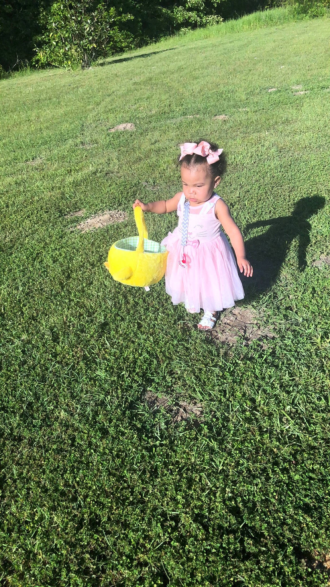 Maliah is registered to the contest to win money with this photo: child, dress, flower, grass, grass_family, lawn, person, plant, play, toddler, yard