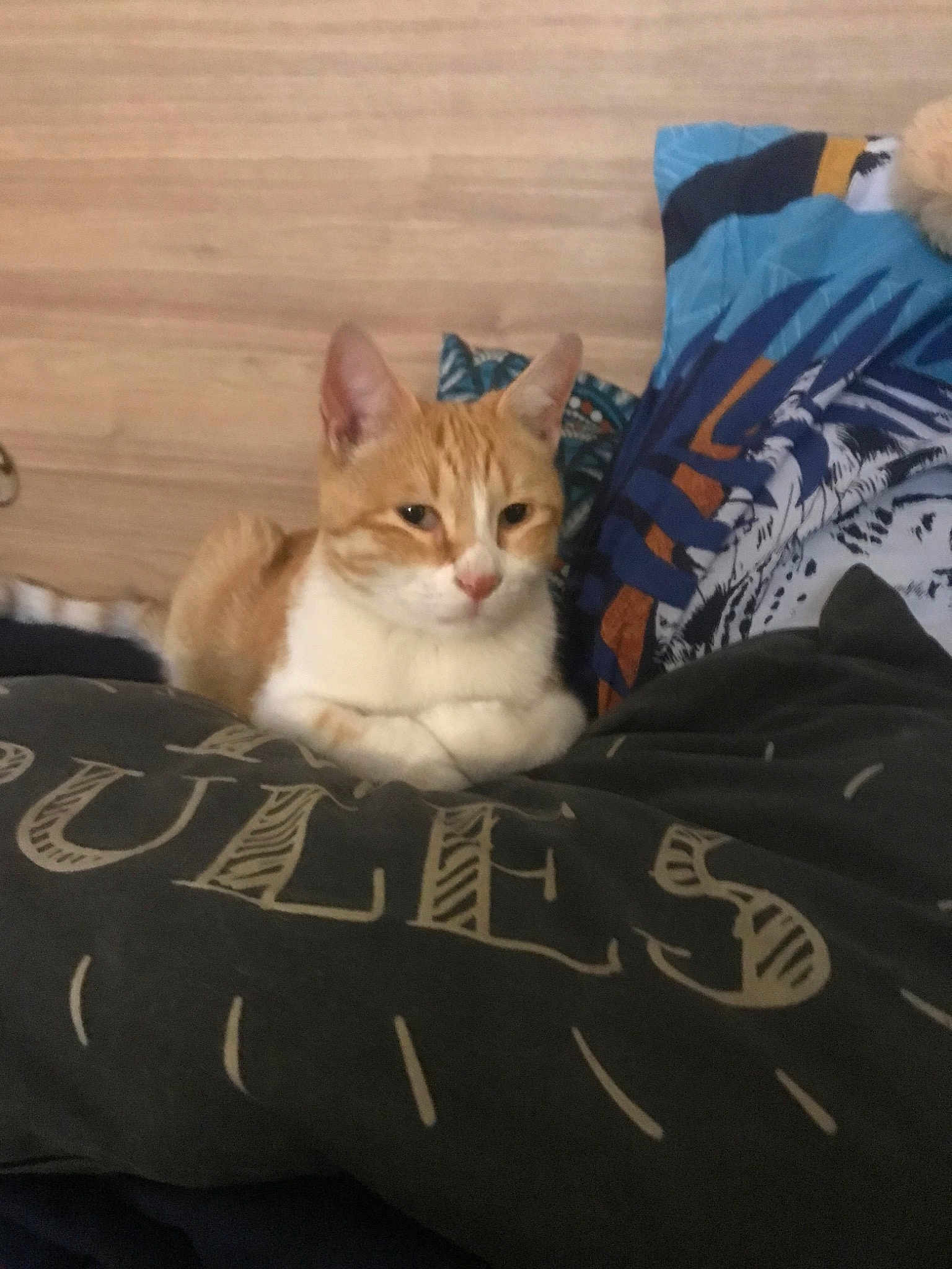 Garfield